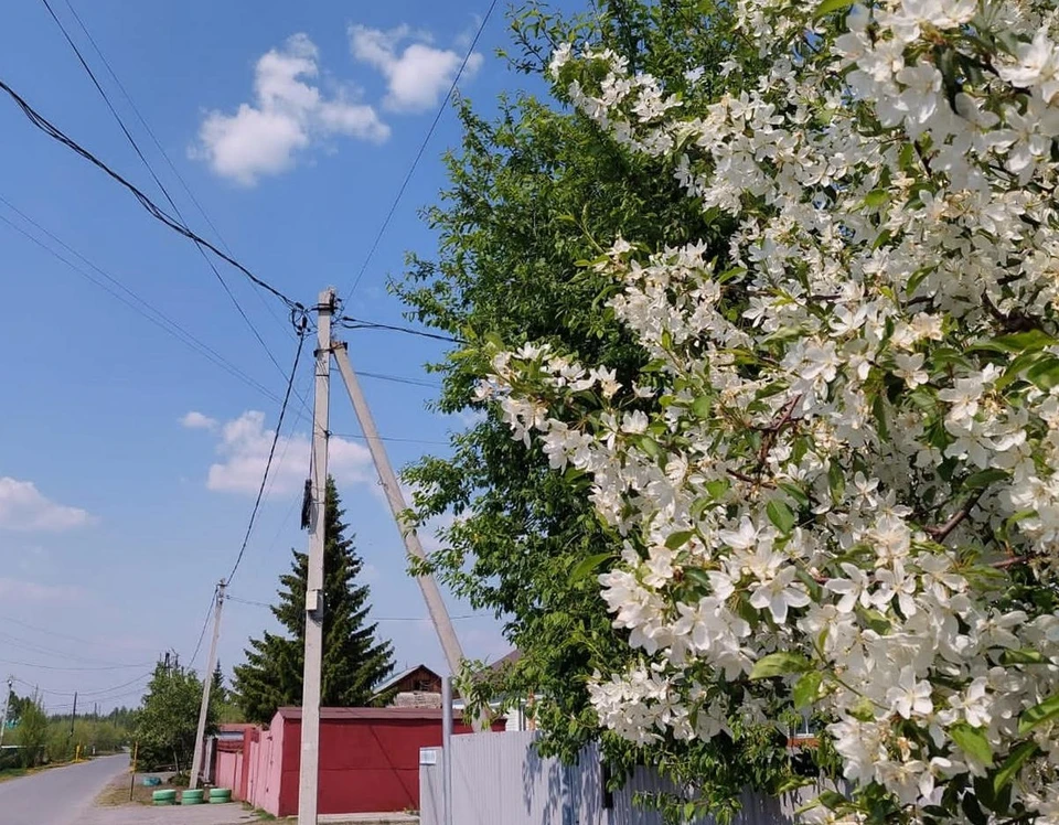 Фото: Антон Ситдиков.