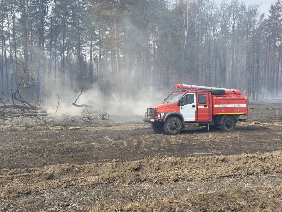 В Югре продолжают тушить 16 лесных пожаров, в том числе в природном заповеднике