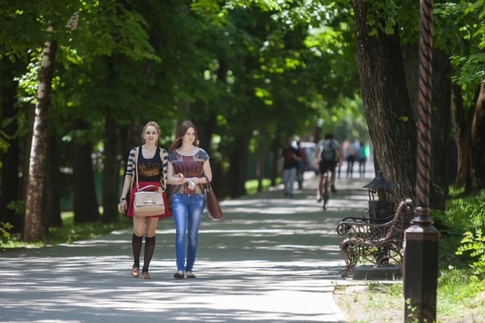 Как отметили в дирекции, они не знают о планах города по поводу этой территории.