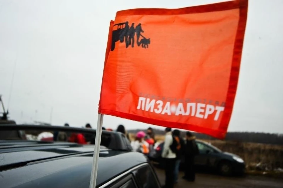 Четырехдневные поиски 14-летнего подростка завершились в Петербурге. Фото: Лиза Алерт