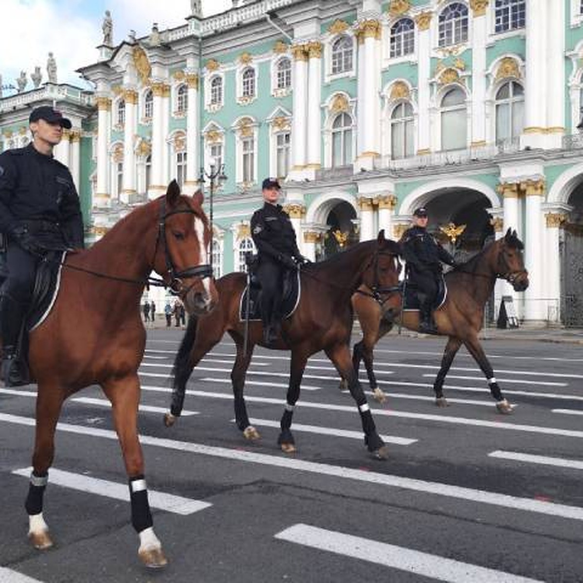 Конная полиция вернулась на улицы Петербурга спустя 60 лет - KP.RU