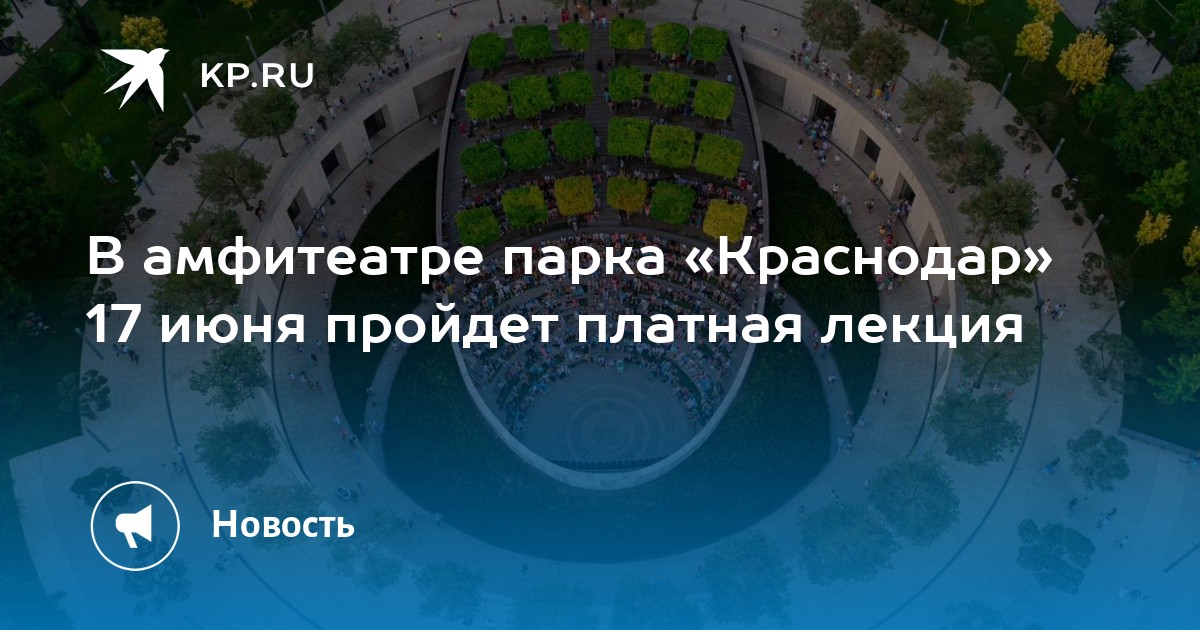 Платаны в парке галицкого в краснодаре