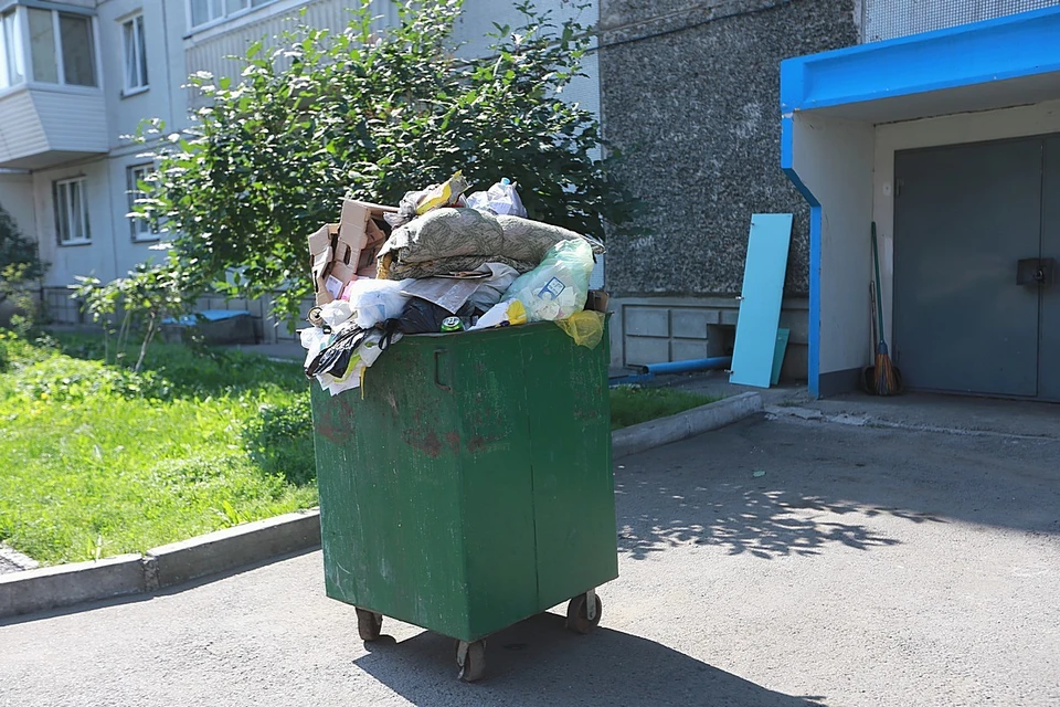 Жители Красноярска стали чаще жаловаться на крыс