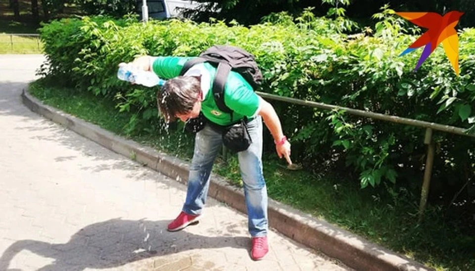 В жару нужно не только пить достаточно воды, но можно и мокрый платок на шею, а тем, кто не боится прическу попортить - и голову облить.