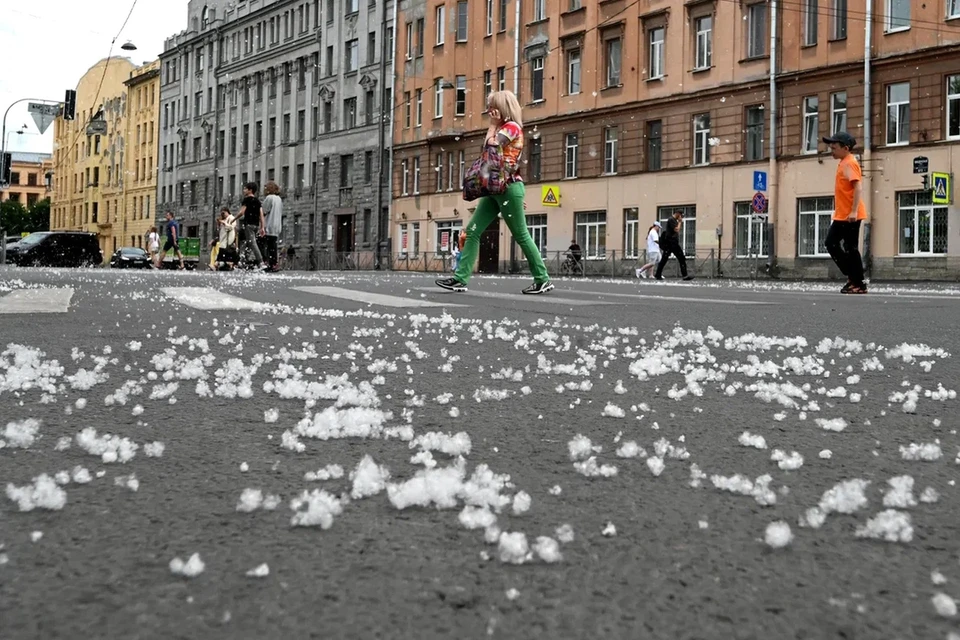 Петербург накрыло тополиным пухом. И его поджогами.