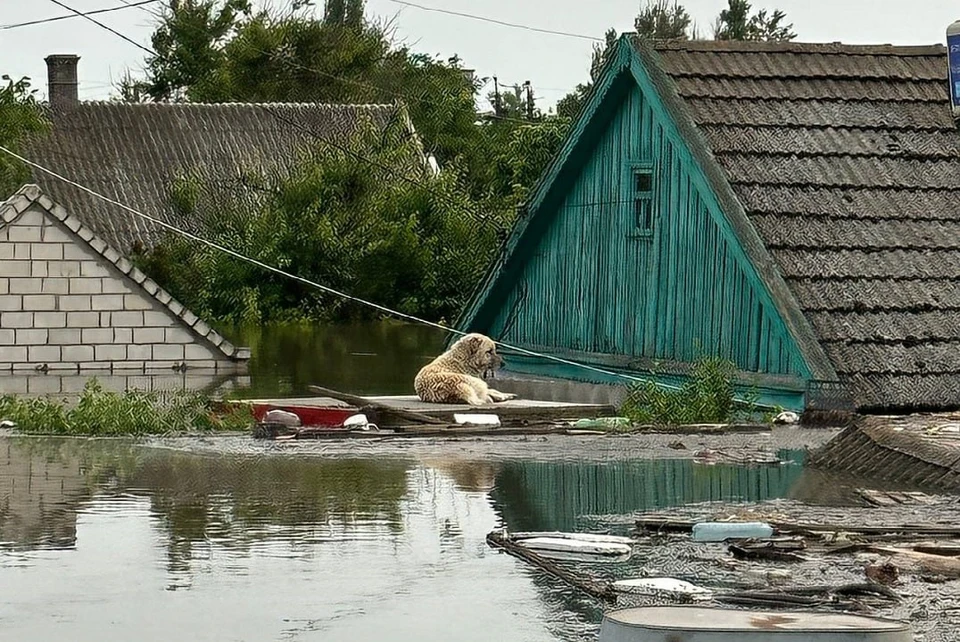 После затоплений в Херсонской области проверяют качество воды