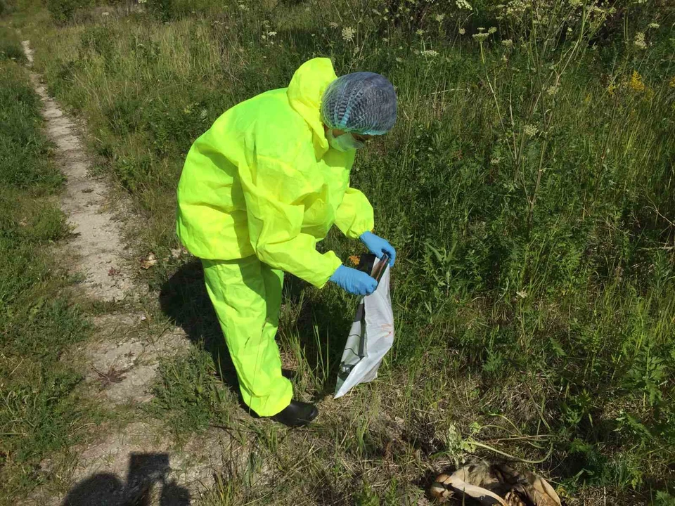 ФОТО: ОГБУ «Симбирский референтный центр ветеринарии и безопасности продовольствия»