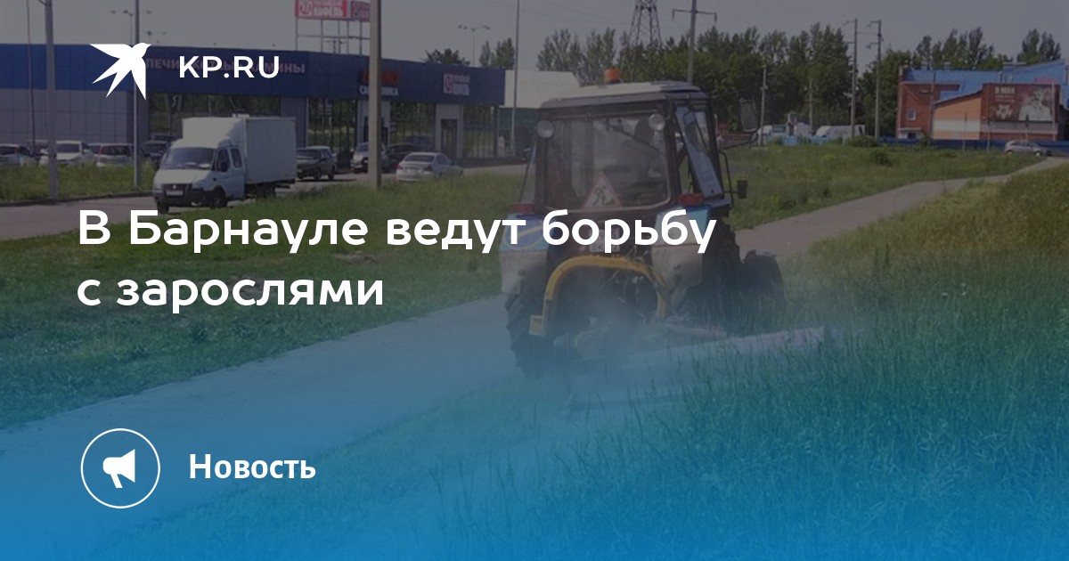 План титов арена барнаул