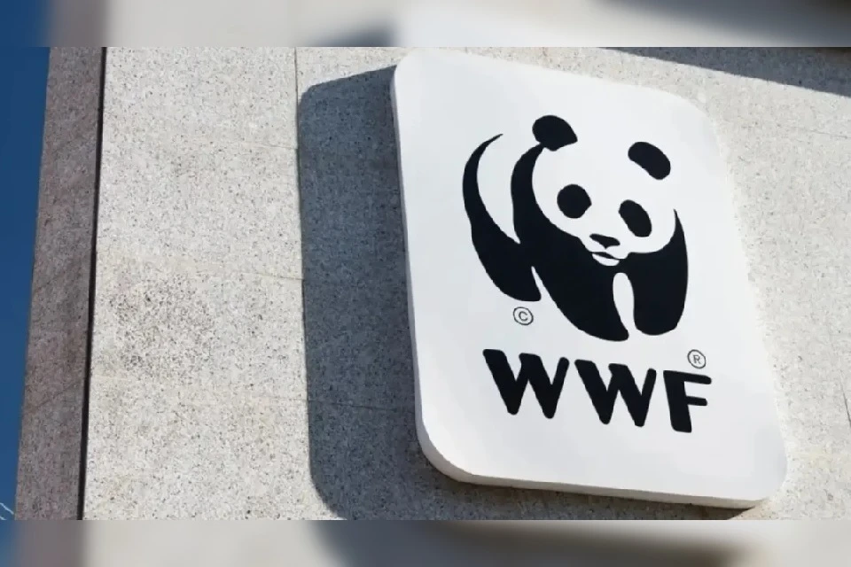 Российский «Всемирный фонд природы»* прекратит сотрудничество с швейцарской WWF