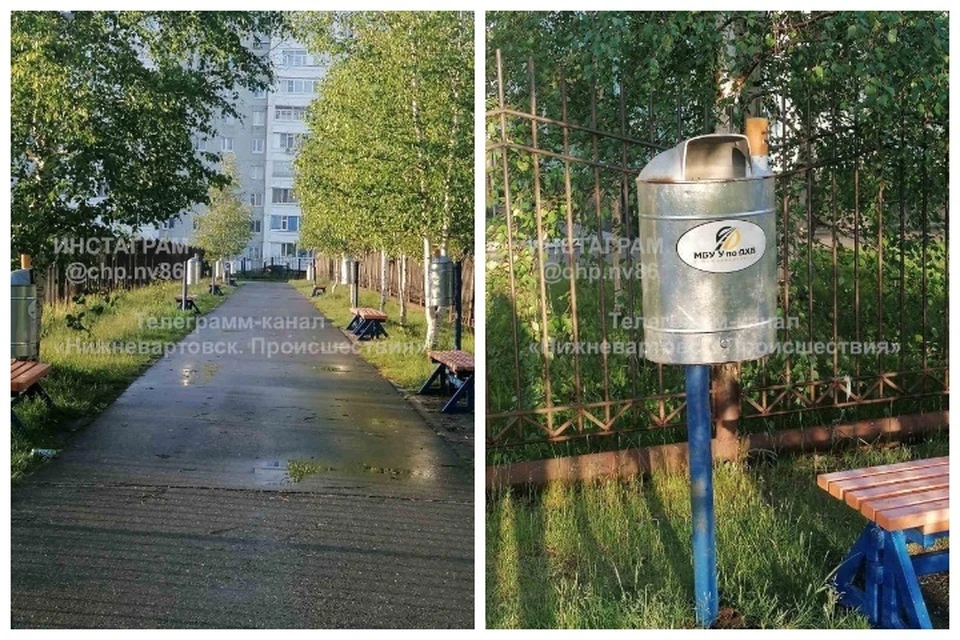 Фото: соцсети