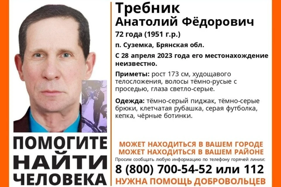 Фото: поисковый отряд "Лиза Алерт".