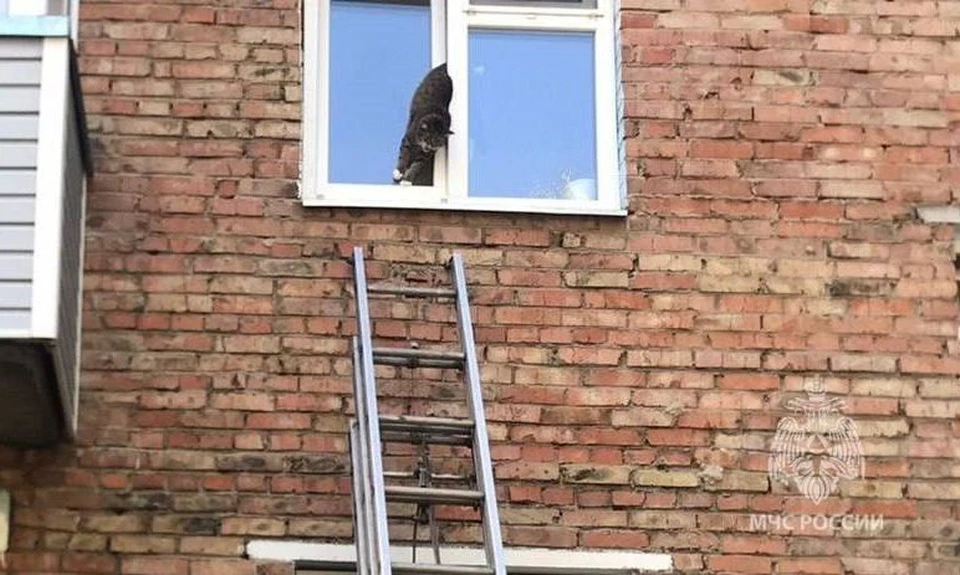 Фото: МЧС Красноярского края