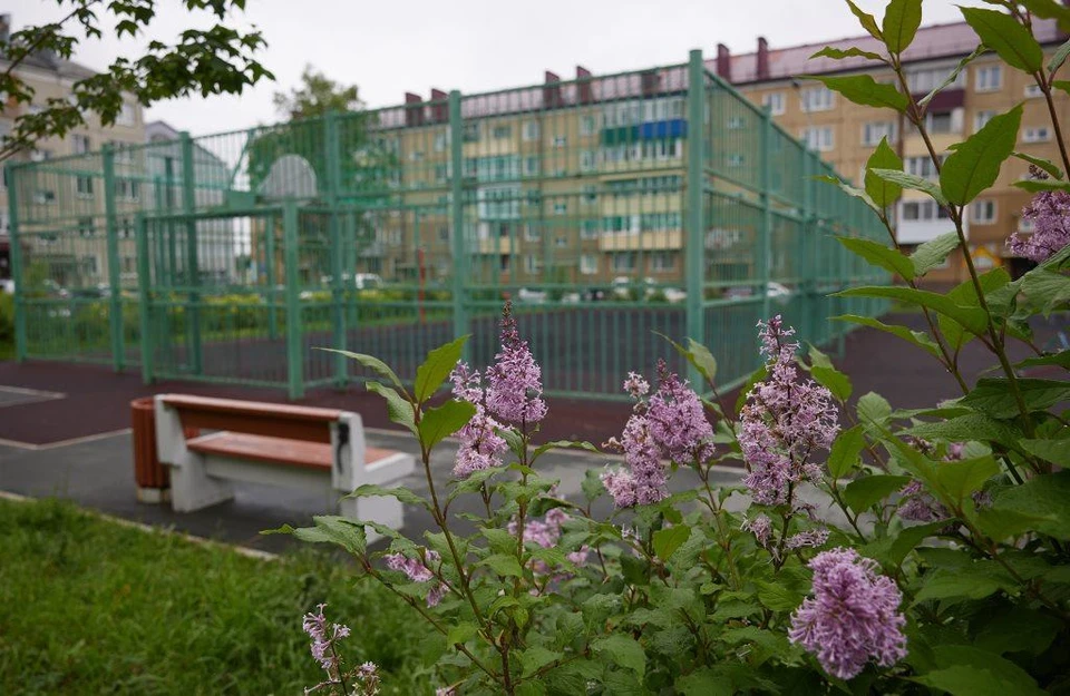 Фото: пресс-служба администрации Южно-Сахалинска.