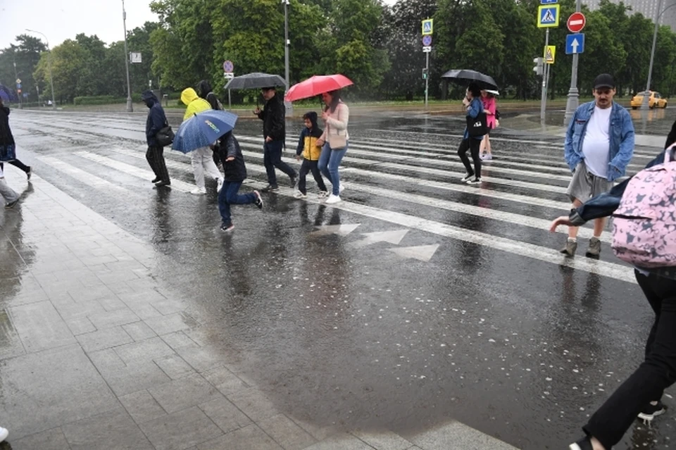 Сильные дожди ожидаются в Нижегородской области 30 июня.