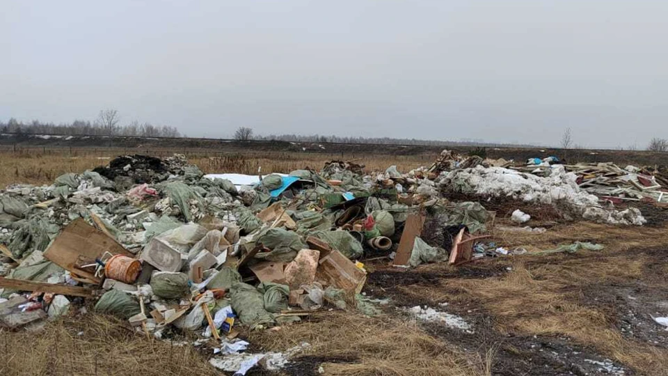 Общий объем отходов составил более 3800 кубометров. Фото: Минэкологии РТ