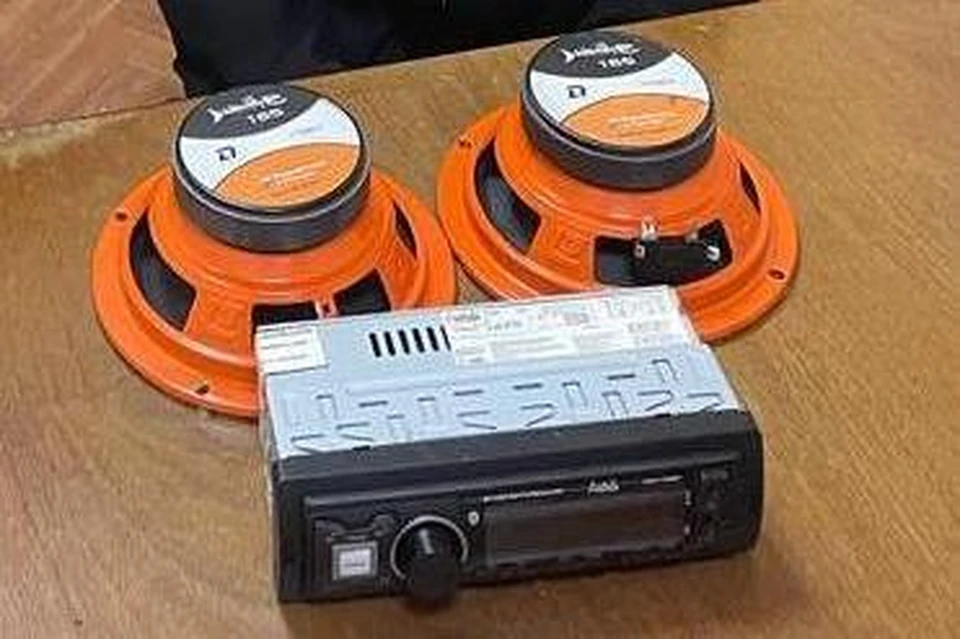 Житель Липецка выкрал из «Лады» магнитолу, колонку и аккумулятор за 25 тысяч