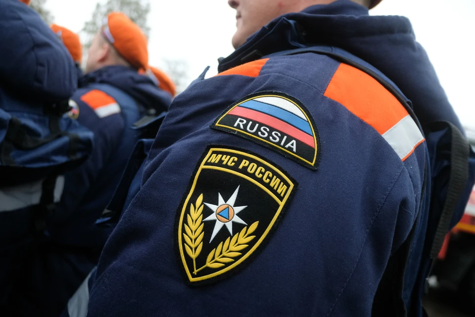 Спасатели из Ленобласти нашли заблудившегося в лесу пенсионера.
