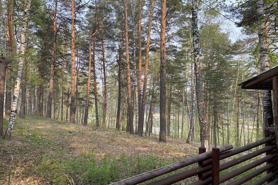 В Тюмени детские площадки и жилые кварталы атаковали змеи.