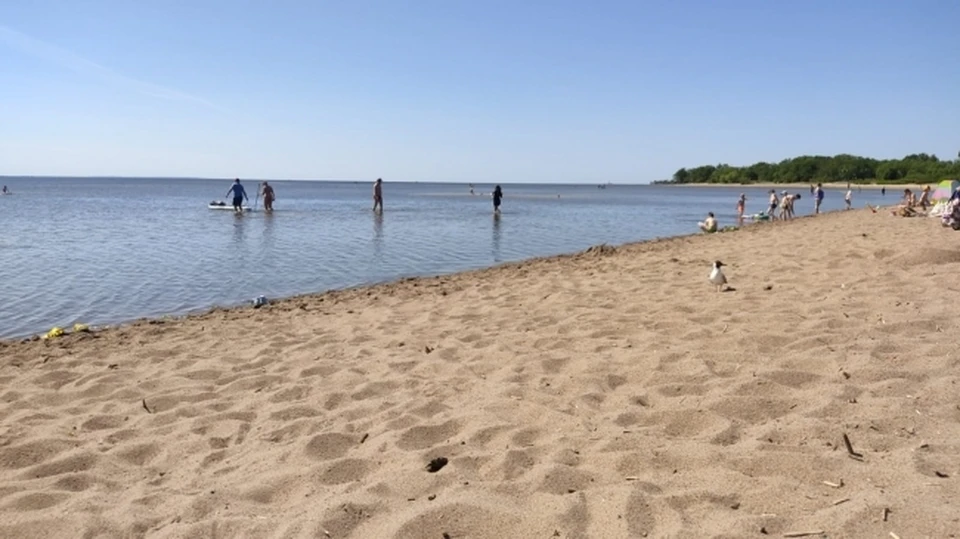 Пляж песчаный Теряево