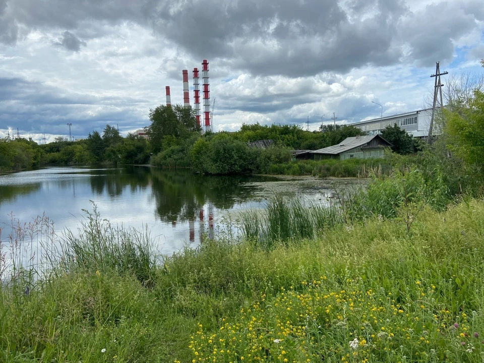 Жара в Тюменской области соблазняет горожан отдыхать на берегу водоемов.