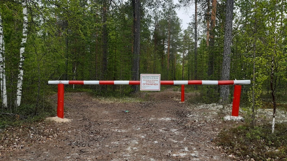 Фото: пресс-служба губернатора