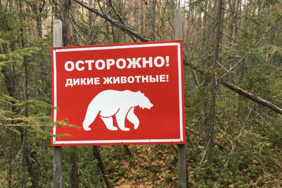 ЧП случилось в Яранском районе
