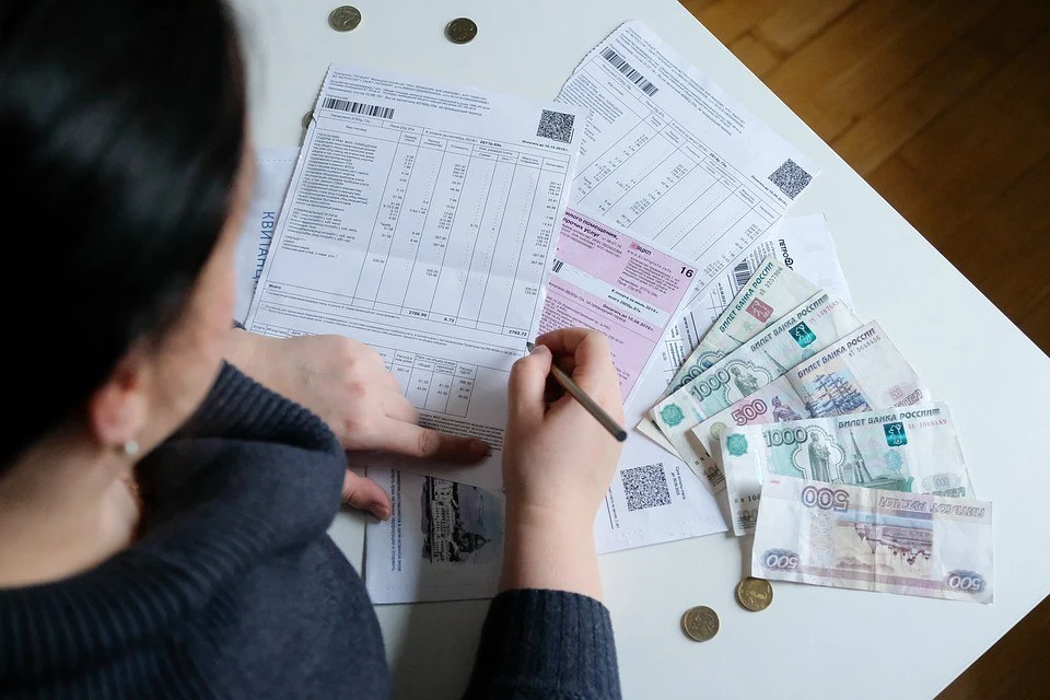 Государственный бюджет не получил четыре миллиона рублей из-за спекуляций женщины