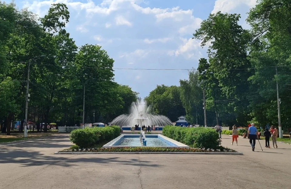 Реконструкцию Автозаводского парка обсудили в Нижнем Новгороде 6 июля.