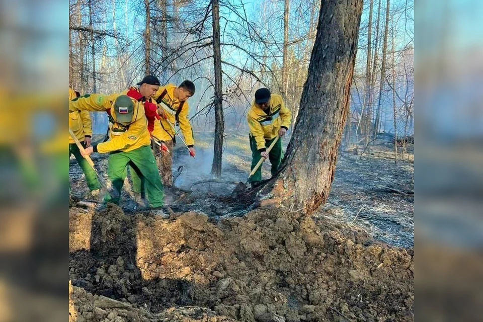 Фото: Авиалесоохрана