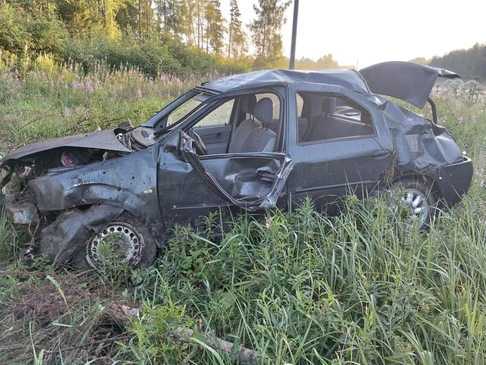 Погибшего водителя нашля рядом с машиной Фото: Госавтоинспекция Бологовского района