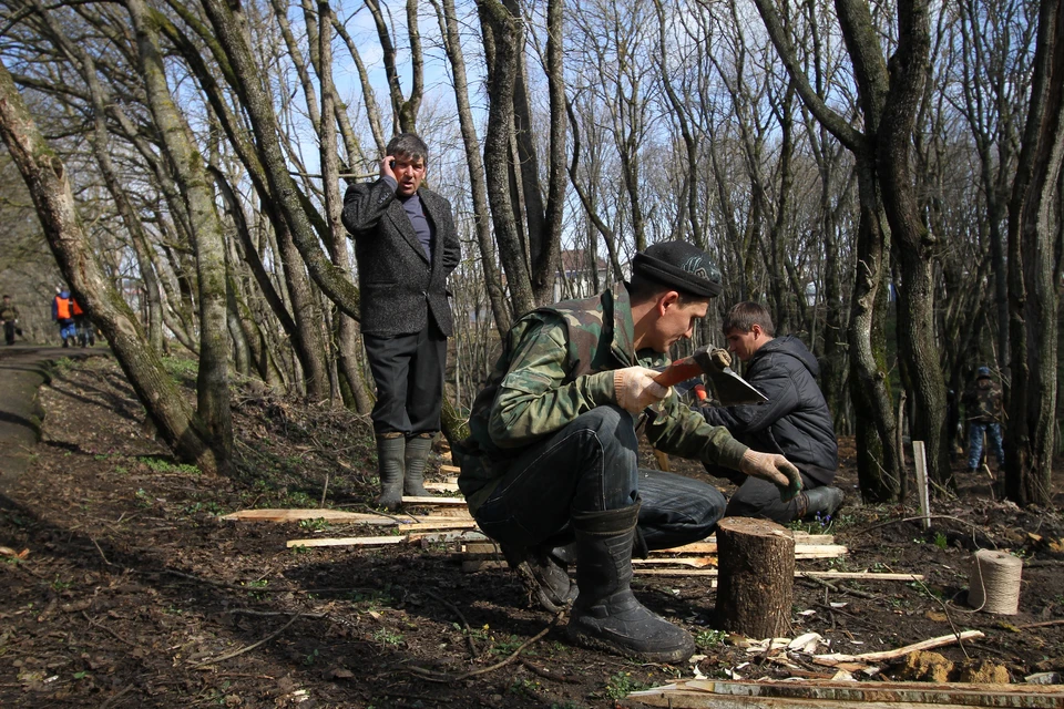 Незаконная рубка. Лес в боевых зонах.