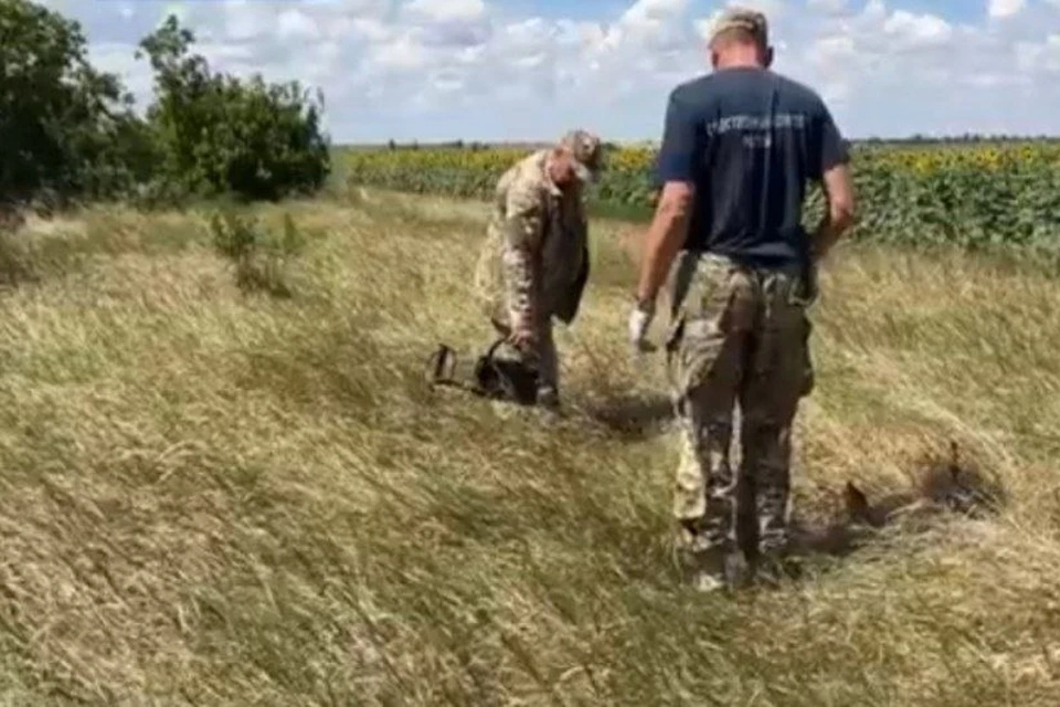 Захоронения обнаружили в лесополосе, на расстоянии в 2,5 километра от Мелитополя. ФОТО: скриншот из видео СУ СК России по ЗО