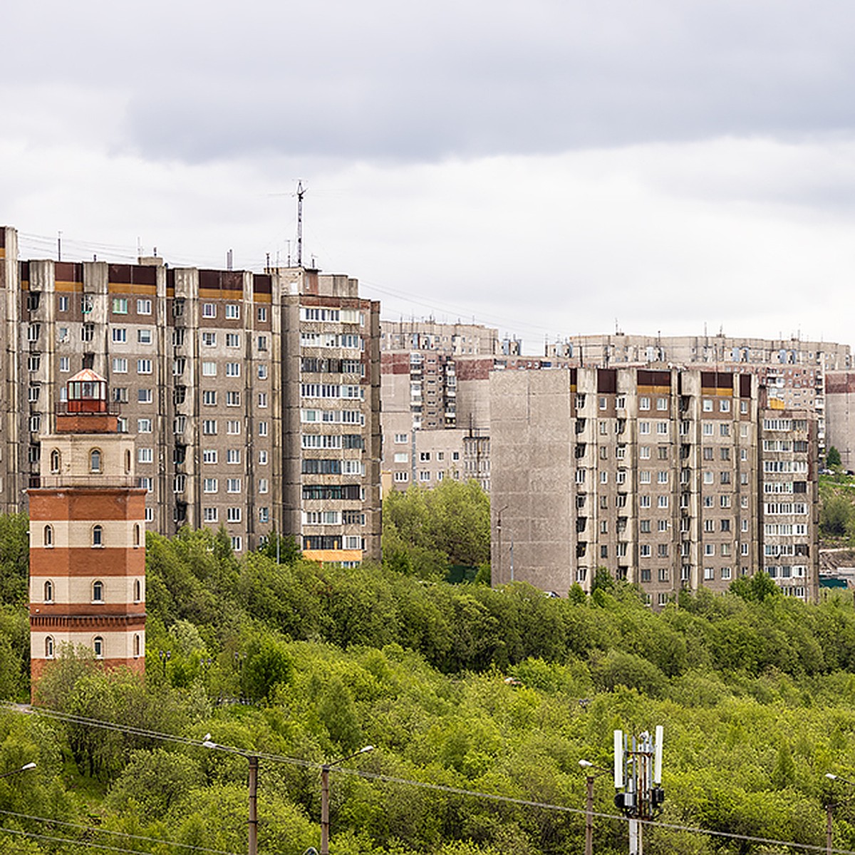 В Мурманске на конкурс «Мой зеленый город – мой уютный дом» поступило 20  заявок - KP.RU