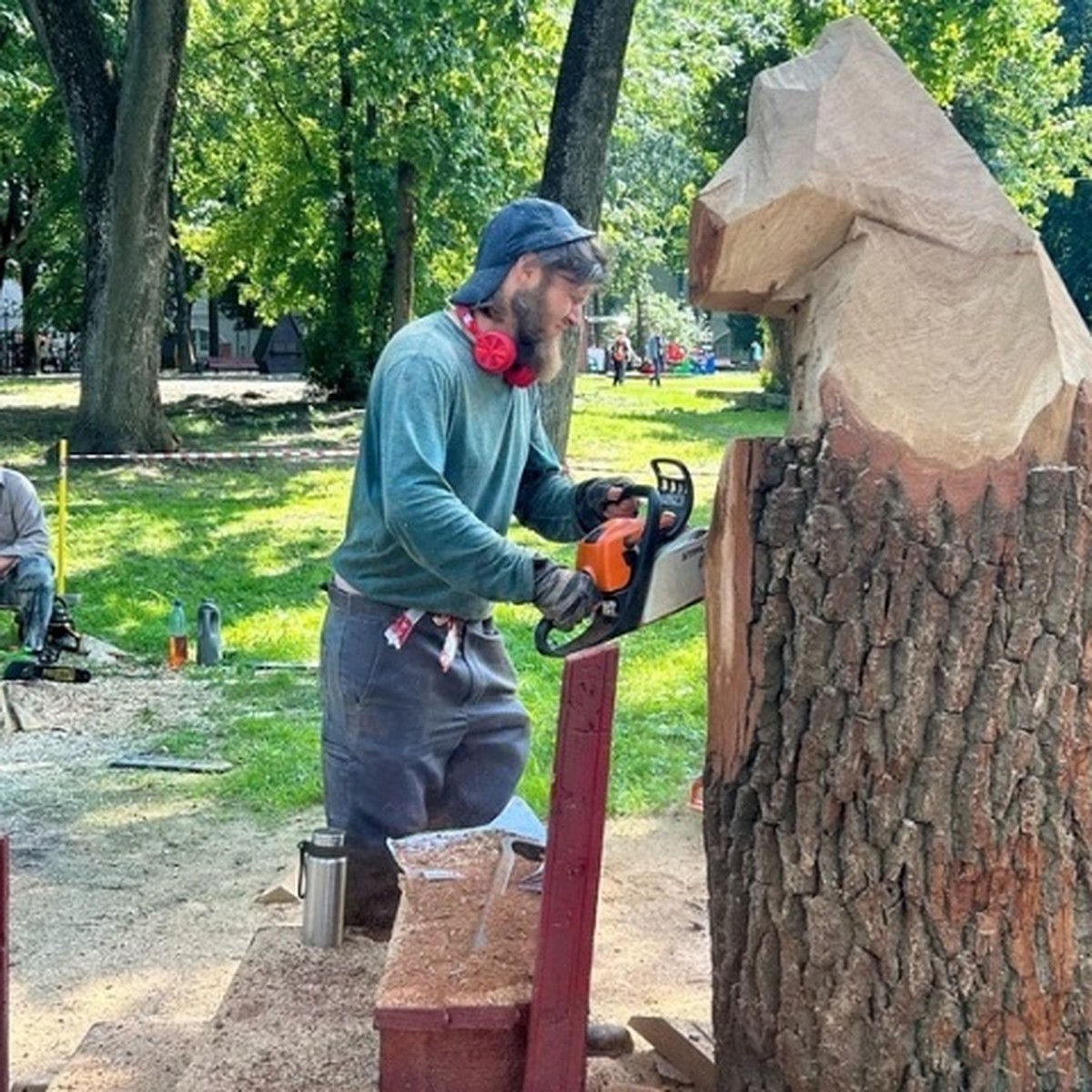 В Брянске в парке Толстого появятся фигуры медведя, тигра и обезьяны - KP.RU