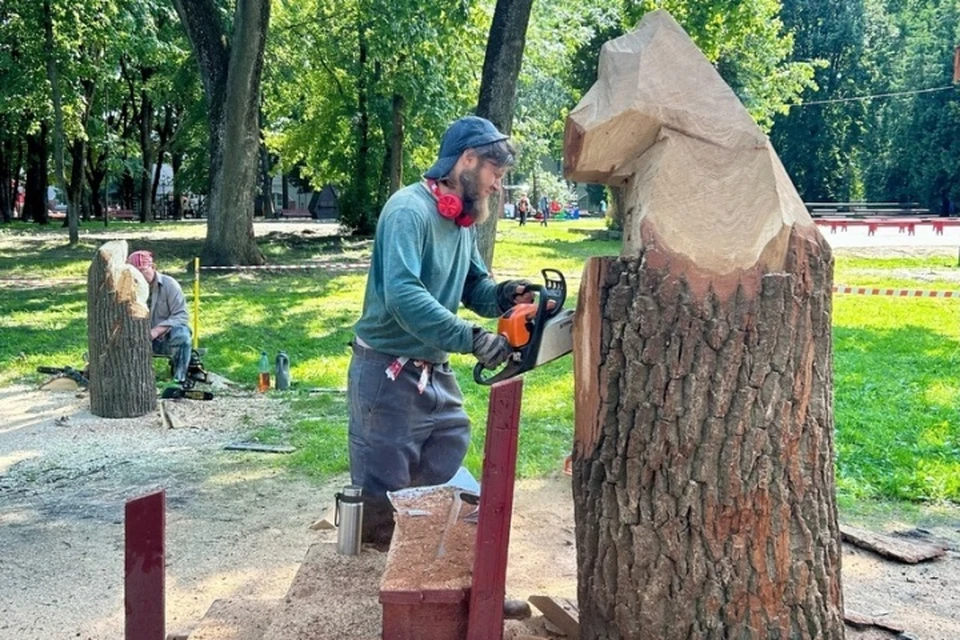 Парк толстого брянск фото