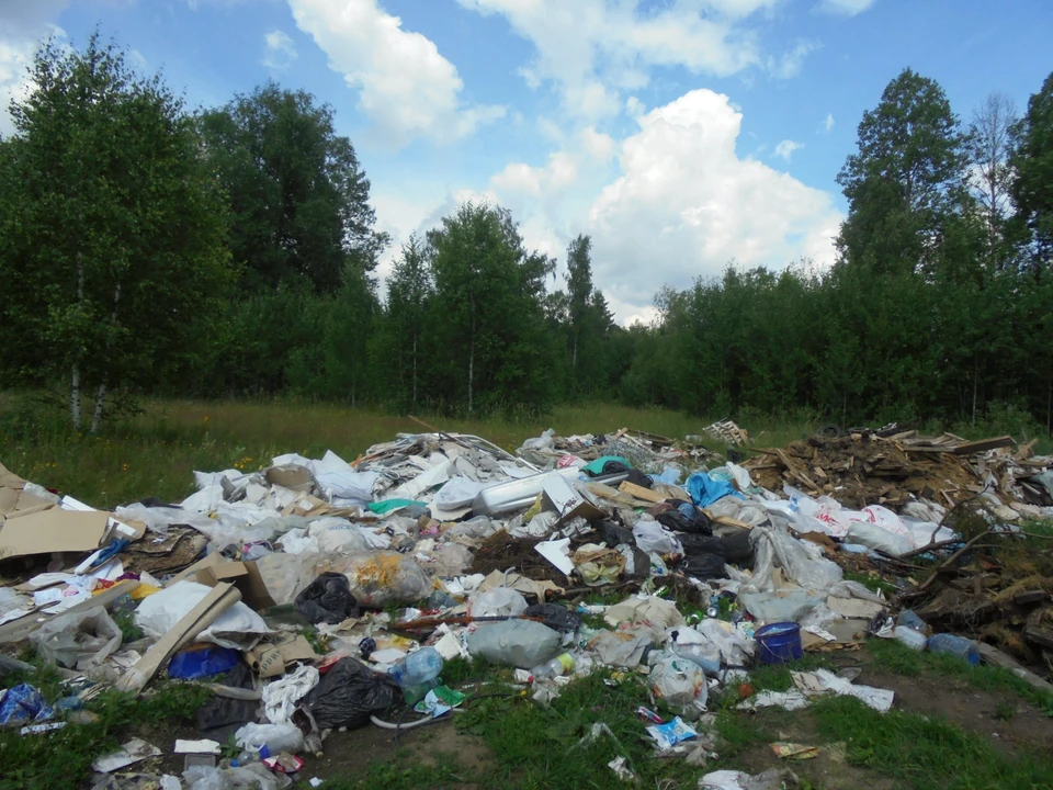Фото: Управление Россельхознадзора по Новосибирской и Томской областям