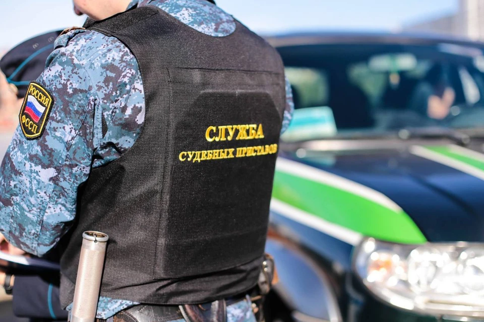 Жителя Биробиджана накажут за маты в зале суда Фото: УФССП России по ЕАО