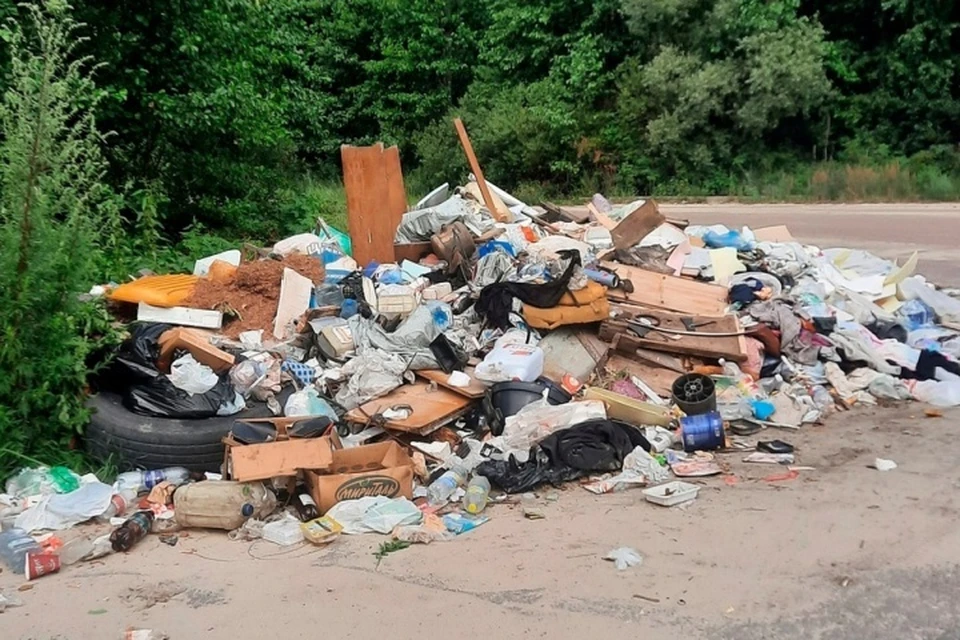 Фото: пресс-служба прокуратуры Брянской области.