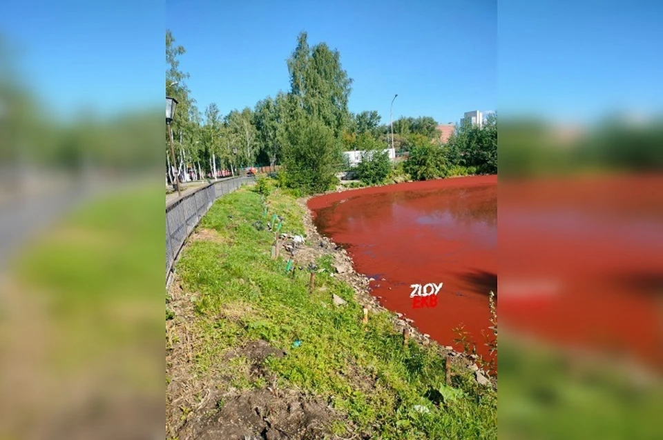 Водная екатеринбург