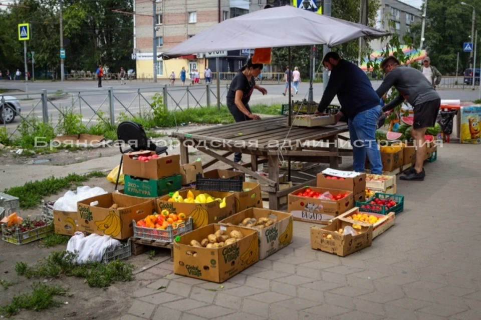 Фото: пресс-служба Брянской городской администрации.