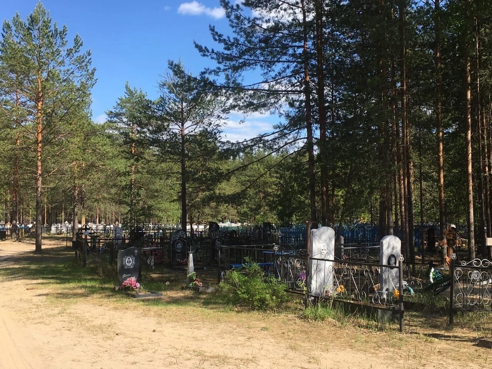 Фото: Александра Савинова.