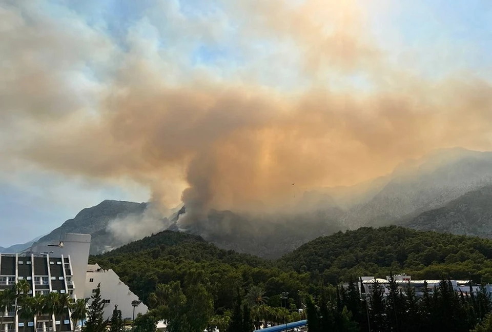 Вид на пожар из отела в поселке Гейнюк днем 26 июля. Фото: читатель "КП" Любовь