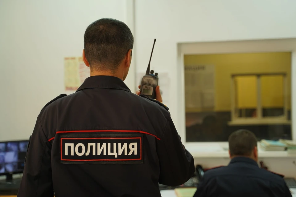 Проводится проверка, по результатам будет принято процессуальное решение