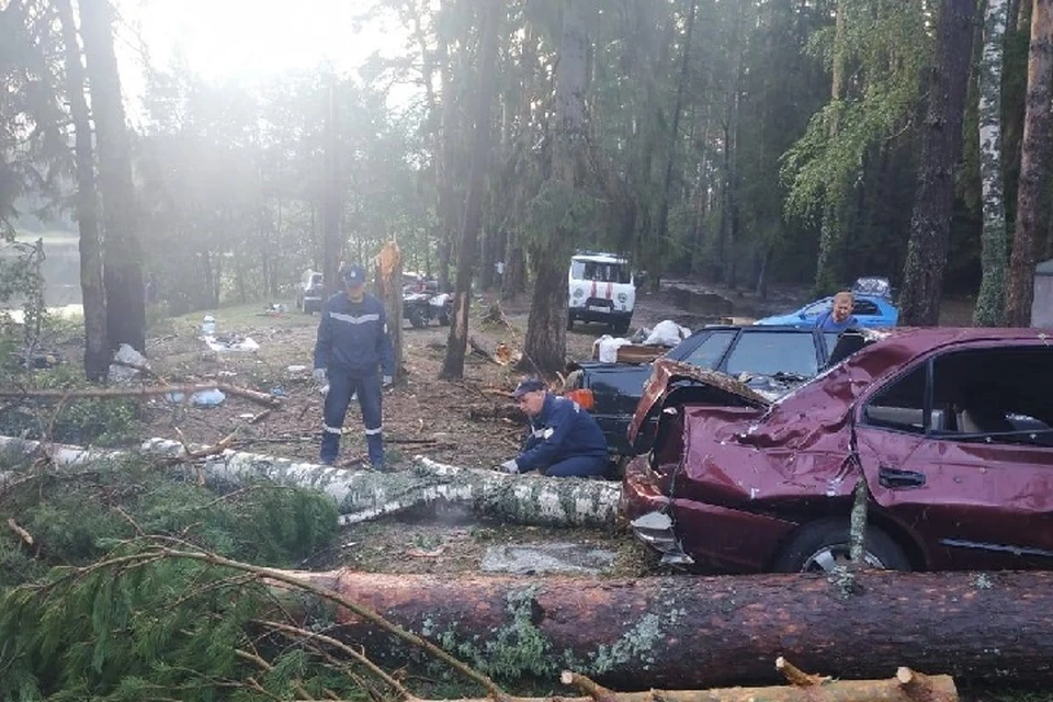 Ураган валил деревья не только на палатки, но и на машины туристов. Фото: МЧС России