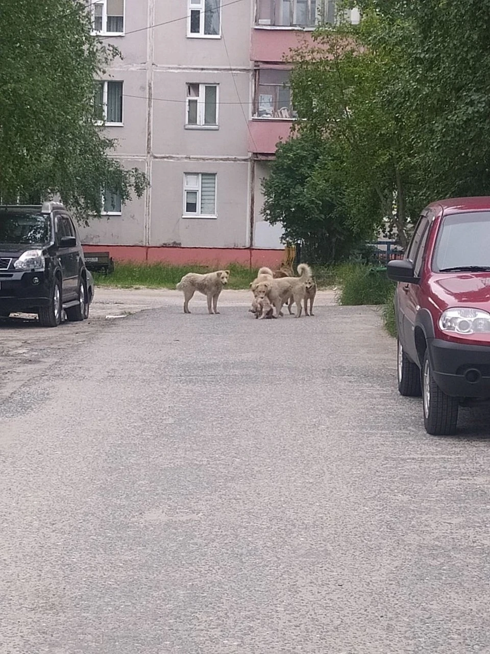 Фото: соцсети