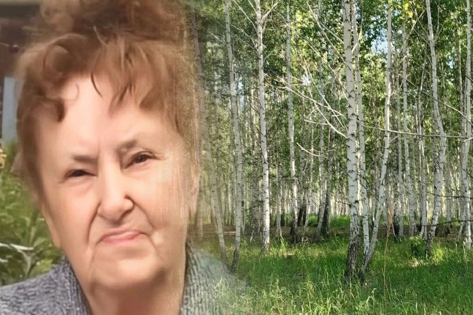 Женщину ищут в лесу Мошковского района. Фото: ПСО «ЛизаАлерт» / архив КП.