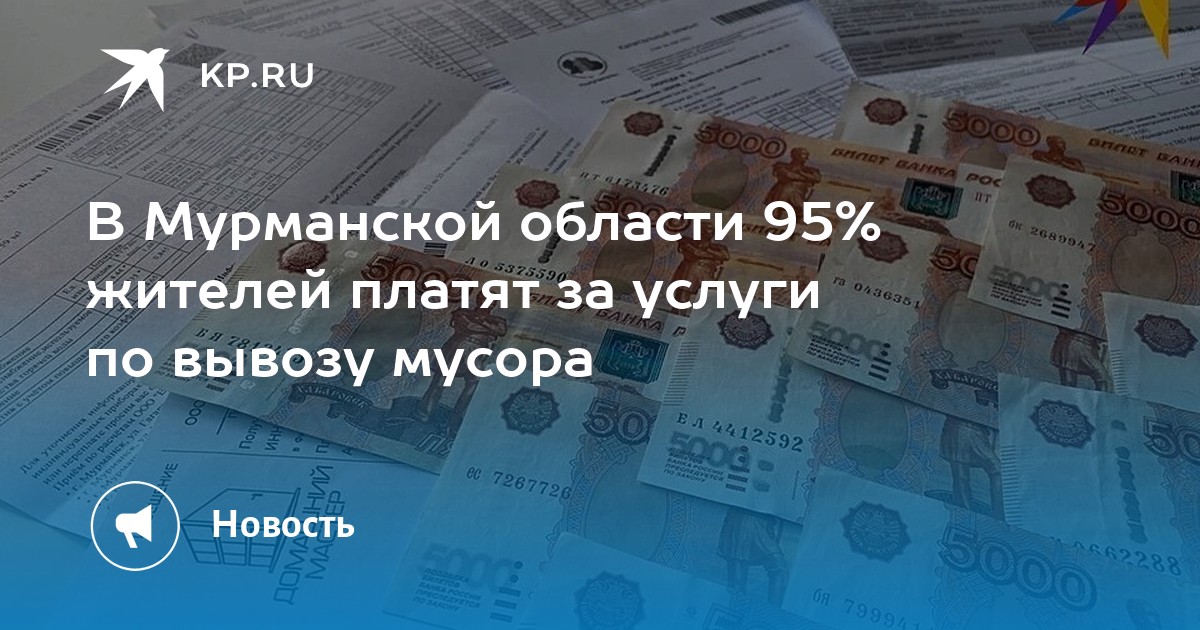 В Мурманской области 95% жителей платят за услуги по вывозу мусора - KP.RU