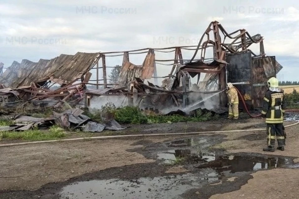 Огонь охватил 550 квадратных метров. Фото: ГУ МЧС по Свердловской области