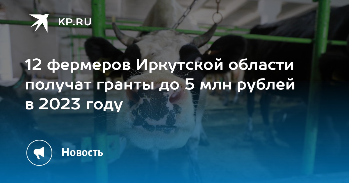 Гранты иркутской области