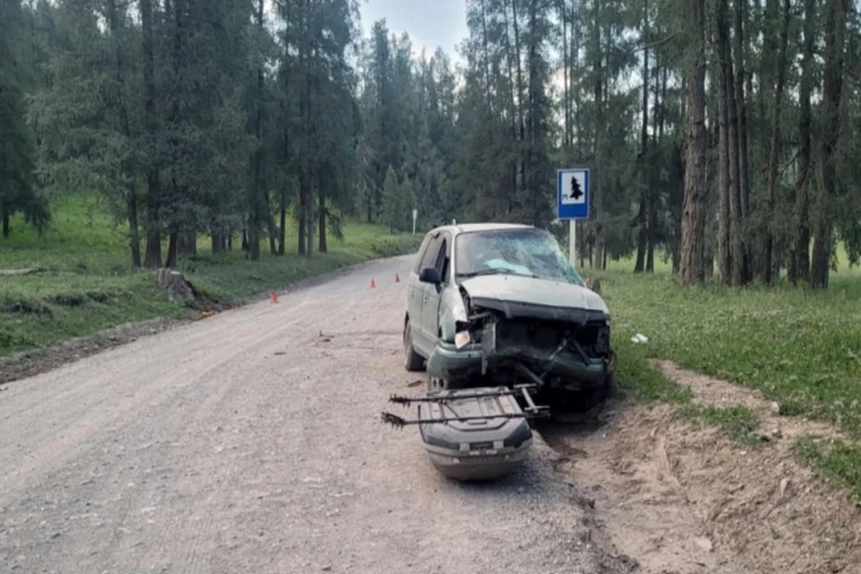 В Сибири пенсионер на иномарке погиб, врезавшись в пень. Фото: ГУ МВД по Республике Алтай.